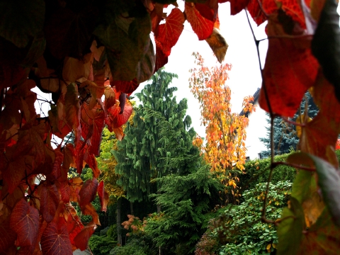 kolory jesieni
